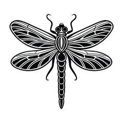 dragonfly on white background