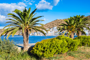 Palm trees and sea view in Katapola port, Amorgos island, Cyclades, Greece