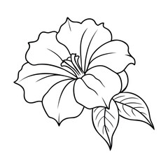 Black and white illustration of a petunia flower with detailed petals and leaves