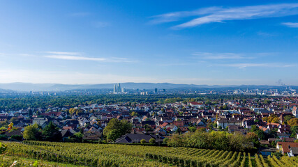 Weinberge an den Hängen von Tüllingen bieten einen herrlichen Blick auf das Dreiländereck Weil am Rhein in Deutschland und Basel in der Schweiz