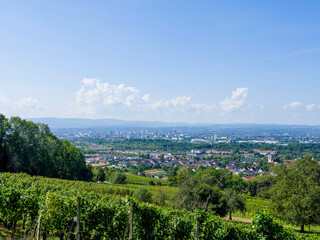Grüne Landschaften der Dreiländerzone, Weil am Rhein, und Basel vom Weinberg entlang des...