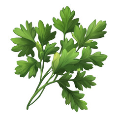 Fototapeta premium Harvesting fresh parsley garden illustrative image natural setting close-up view culinary inspiration