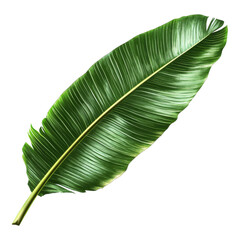 Lush green leaf close-up tropical forest nature photography vibrant environment macro view botanical concept