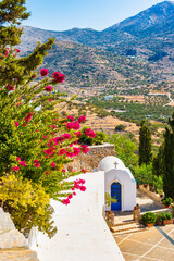 Colorful flowers and tropical plants in Tholaria village with mountains in background, Amorgos...