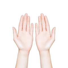 Two open empty female hands gesture isolated on white background Palms up showing something copy space asking receiving holding giving sharing hope charity concept