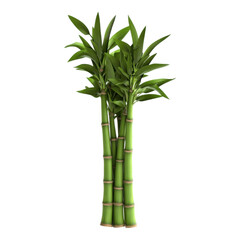 Fototapeta premium Green bamboo stalks with vibrant leaves, transparent background, ideal for nature-themed designs and digital projects