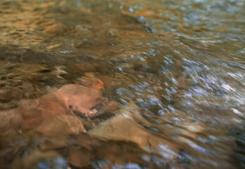 The river, with its rapid flow and majestic cliffs, creates a breathtaking landscape, reflecting the strength and beauty of the wild nature