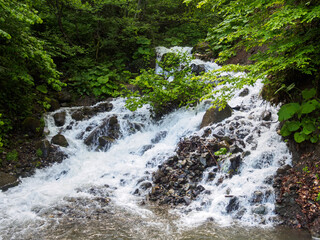 The flow of a mountain river passing through a lush green forest creates a peaceful and picturesque scene in nature