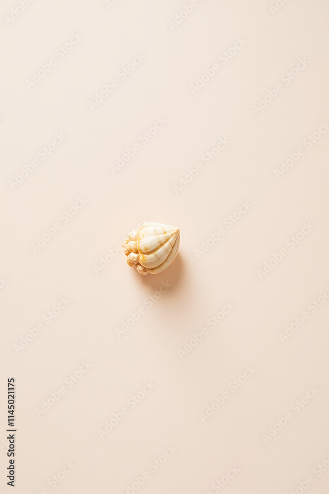 Poster A seashell is placed on a soft pastel colored background in this flat lay design concept._00001_