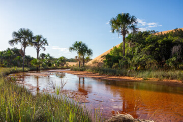 View of Dunas do Jalapão (Jalapão Dunes) at Jalapão State Park - Tocantins, Brazil