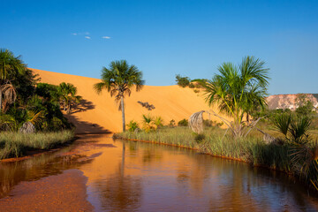 View of Dunas do Jalapão (Jalapão Dunes) at Jalapão State Park - Tocantins, Brazil