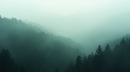 Foggy Forested Valley: Atmospheric Landscape with Mist and Evergreen Trees