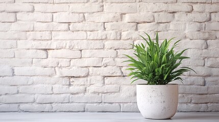 A small potted plant sits on a table in front of a white brick wall.