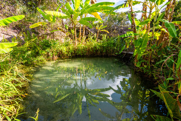 View of Fervedouro Mumbuca, a unique karst spring located at Jalapão State Park - Tocantins, Brazil