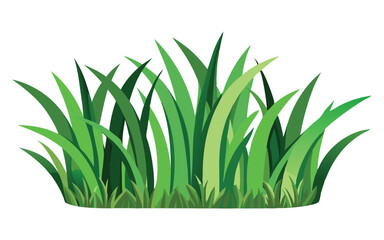 grass on white background