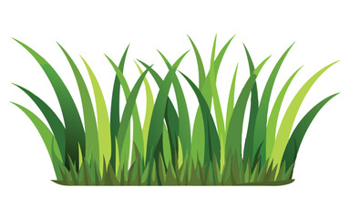 grass on white background