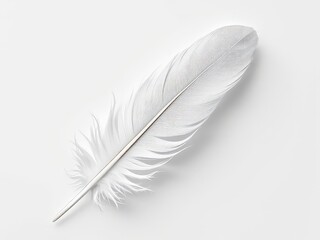 Soft and delicate white feather rests gracefully against a pure background inviting reflections on nature's artistry and simplicity
