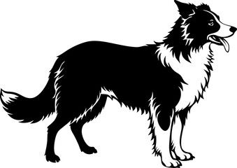border-collie silhouette