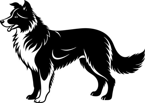 recommend clip art: border-collie silhouette
