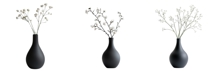 set of A Black matte vase with small flowers, PNG format Transparent Background 
