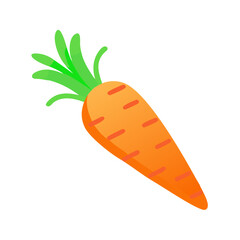 carrot vegetable organic icon isolated

