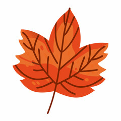 autumn leaf icon vector isolated

