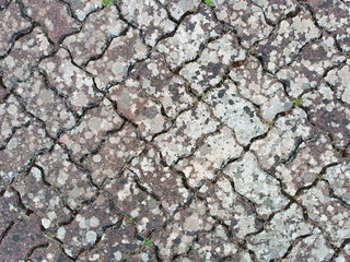 Textura de suelo