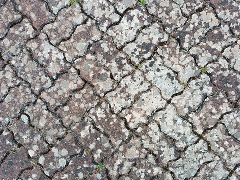 Textura de suelo