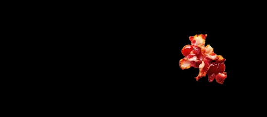 Crispy cooked bacon bits isolated on black background.