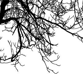 ramas, arbol, dechado, vector, encaje, negro, designio, floral, empapelar, arte, ilustración, flor, con textura