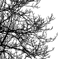 ramas, arbol, dechado, vector, encaje, negro, designio, floral, empapelar, arte, ilustración, flor, con textura