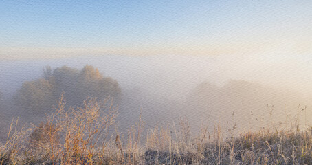Foggy morning with a field of grass and trees in the background