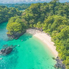 Aerial view of a serene beach surrounded by lush greenery and clear waters.
