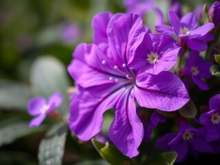 Purple flower petals with delicate green leaves, creating a stunning contrast in a peaceful garden scene, vibrant, flora, botanical