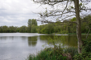 spring landscape overlooking lake and surrounding trees in parkland. peaceful outdoor scenery 