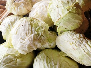 green cabbage fresh vegetables