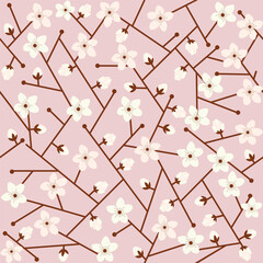 Pattern of cherry blossom flowers on a soft pink background with brown bold lines, nature vector background