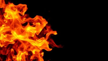Fototapeta premium Fire flames burning brightly against a black background, hot, intensity