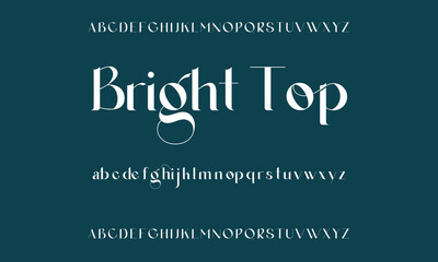 Luxury serif font in modern style. Elegant wedding alphabet letters font and number. Typography Luxury classic lettering serif fonts decorative vintage retro