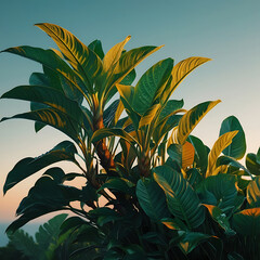 Lush green tropical plants bush, cut out