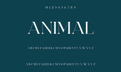 Classic serif font alphabet letters fancy gentle typographic design. Elegant typography. Retro slick serif letter set for wedding card, restaurant menu, headline, lettering.