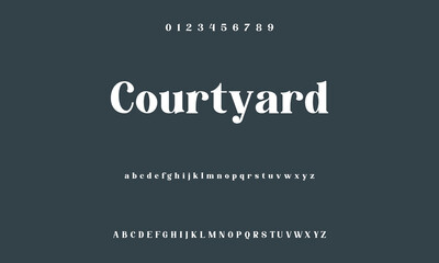 Luxury serif font in modern style. Elegant wedding alphabet letters font and number. Typography Luxury classic lettering serif fonts decorative vintage retro logo