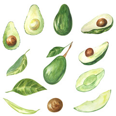 Avocado whole and sliced ​​on white background. Watercolor. Handmade. Can be used on packaging, stickers.