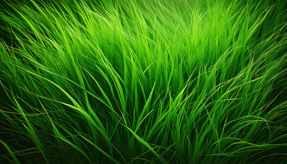 Grass background