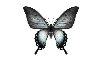 A stunning metallic butterfly with textured wings in shades of silver and blue. Detailed, symmetrical design with a realistic and artistic touch.