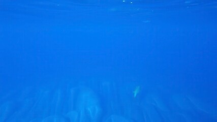 Smooth and rippling deep blue sea texture resembling the surface of a calm ocean, blue, marine