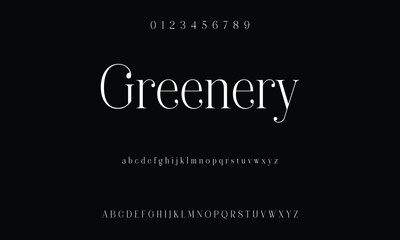 Classic serif font alphabet letters fancy gentle typographic design. Elegant anthique typography. Retro slick serif letter set for wedding card, restaurant menu, headline, lettering. Vector typeset