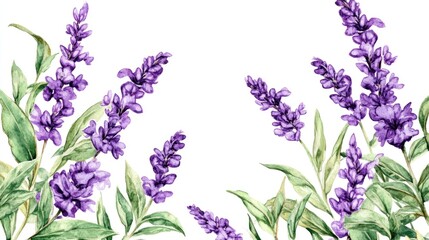Obraz premium Hand-Drawn Floral Frame: Purple Blossoms and Lush Green Foliage in Watercolor Style