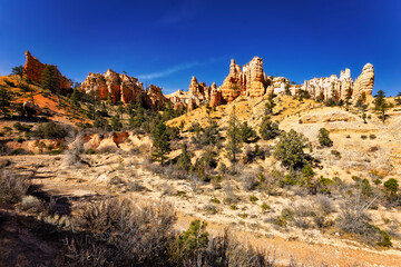 Fototapeta premium View from Mossy Cave Trail
