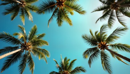 Tropical palm trees fill scene. Green leaves, vibrant sky. Sunny day on exotic beach. Peaceful, beautiful nature. Vacation concept for resort tropical island getaway. Looks like sunny summer day on
